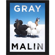 Gray Malin: The Essential Collection 精裝版, ABRAMS, 英文