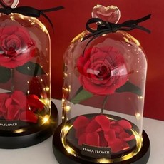 Flora Flower 小王子永生玫瑰 - 深紅 永生花 玻璃罩 玫瑰花 禮物