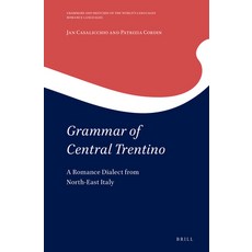 (英文圖書) Grammar of Central Trentino: A Romance Dialect from North-East Italy 精裝版, Brill, 英文