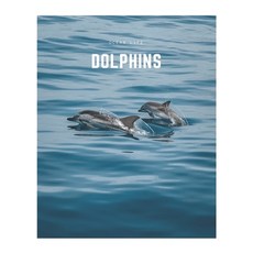 (英文圖書) Dolphins: A Decorative Book │ Perfect for Stacking on Coffee Tables & Boo... 平裝版, Independently Published, 英文