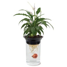 PENN-PLAX 水生植物魚缸盆栽, 透明+黑色