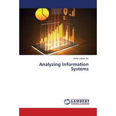 Analyzing Information Systems 平裝版, LAP Lambert Academic Publis..., 英文