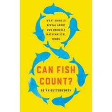 (英文圖書) Can Fish Count?: What Animals Reveal about Our Uniquely Mathematical Minds 精裝版, Basic Books, 英文