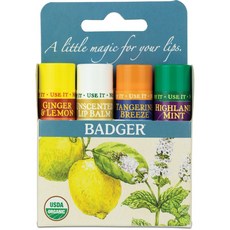 BADGER 經典護唇膏 4款, 生薑檸檬+無香+柑橘+高地薄荷, 4.2g, 4支