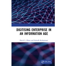 Digitising Enterprise in an Information Age 精裝版, CRC Press, 英文