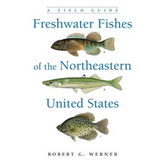 (英文圖書) Freshwater Fishes of the Northeastern United States: A Field Guide 平裝版, Syracuse University Press, 英文