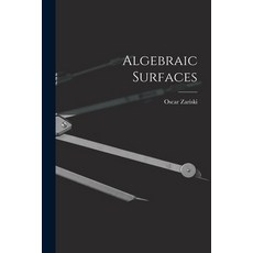(英文圖書) Algebraic Surfaces 平裝版, Hassell Street Press, 英文
