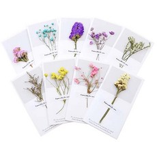 乾燥花卡片, 太陽花,無含信封