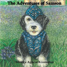 (英文圖書)The Adventures of Samson 平裝版, Createspace Independent Pub..., 英文