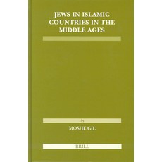 (英文圖書) Jews in Islamic Countries in the Middle Ages 平裝版, Brill, 英文