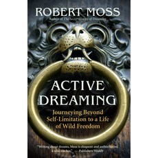 (英文圖書) Active Dreaming: Journeying Beyond Self-Limitation to a Life of Wild Freedom 平裝版, New World Library, 英文