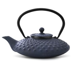 Bredemeijer 鑄鐵茶道798.5ml, 藍色