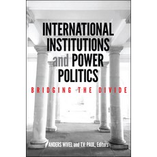 International Institutions and Power Politics: Bridging the Divide 平裝版, Georgetown University Press, 英文
