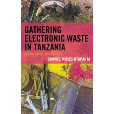 (英文圖書) Gathering Electronic Waste in Tanzania: Labor Value and Toxicity 精裝版, Lexington Books, 英文