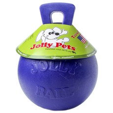 Jolly Pets 寵物狗玩具球 XL號 20.3cm, 1個, 紫色的