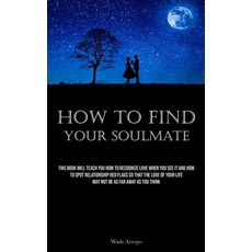 (英文圖書) How To Find Your Soulmate: This Book Will Teach You How To Recognize Love When You See It And... 平裝版, Allen Jervey, 英文