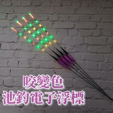 咬變色火焰精靈池釣電子浮標 重力感應變色日夜兩用尾, 詳見包裝, 詳見包裝, 2.1g-吃鉛2.1克(約5分)