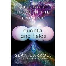 (英文圖書) Quanta and Fields: The Biggest Ideas in the Universe 精裝版, Dutton, 英文