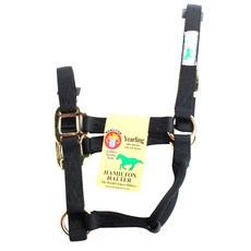 Hamilton Products 騎馬裝備 Jelling（僅限 150-225 公斤）, 1個, 黑色的