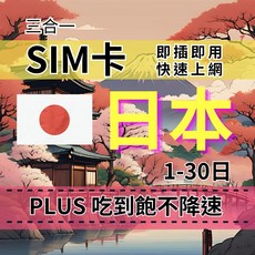 KDDI電信 日本高速無限流量SIM卡 （6至30天）, 12天