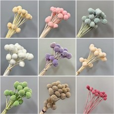 W&T花藝資材 台灣現貨開發票 永生金杖球 一束15顆 黃金球 乾燥花 金杖球 永生花 乾燥花花束 拍照道具背景, 紫色,小號