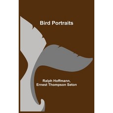 (英文圖書) Bird Portraits 平裝版, Alpha Edition, 英文