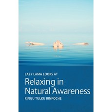 (英文圖書) Lazy Lama looks at Relaxing in Natural Awareness 平裝版, Bodhicharya Publications CIC, 英文