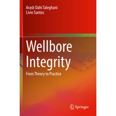 (英文圖書) Wellbore Integrity: From Theory to Practice 平裝版, Springer, 英文