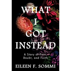 (英文圖書) What I Got Instead: A Story of Pain Doubt and Faith 平裝版, High Bridge Books, 英文