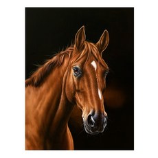 御畫房 千里馬手繪油畫 60x80cm VF-164, 詳見包裝, 1個