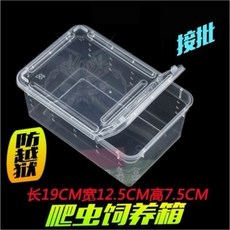 臥水族 爬蟲飼養盒 可疊透飼養箱 昆蟲烏龜守宮角蛙適用, 小號-透白飼養盒