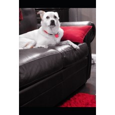 (英文圖書) Selling properties In Divorce: Howe to market your properties in divorce 平裝版, Independently Published, 英文