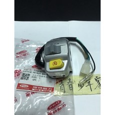 PGO 摩特動力 JBUBU 右把手開關總成
