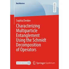 (英文圖書) Characterizing Multiparticle Entanglement Using the Schmidt Decomposition of Operators 平裝版, Springer Spektrum, 英文