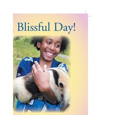 (英文圖書)A Blissful Day! 平裝版, Xlibris Us, 英文