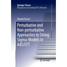 (英文圖書) Perturbative and Non-Perturbative Approaches to String Sigma-Models in Ads/Cft 平裝版, Springer, 英文