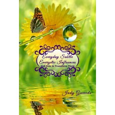 (英文圖書) Everyday Subtle Energetic Influences: And How to Transform Them 平裝版, Innately Resourceful LLC, 英文