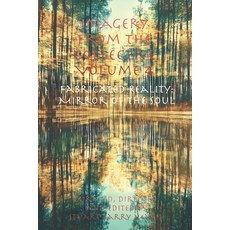 (英文圖書) Imagery from the Collective - Volume 4: Fabricated Reality: Mirror of the Soul 平裝版, Zhameesha LLC, 英文