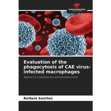 (英文圖書) Evaluation of the phagocytosis of CAE virus-infected macrophages 平裝版, Our Knowledge Publishing, 英文