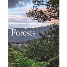 (英文圖書) Forests 精裝版, Amber Books, 英文