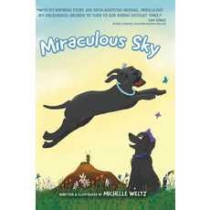 (英文圖書)Miraculous Sky 精裝版, Ambassador International, 英文