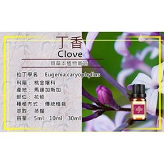 草本自然 丁香精油 (5ml/10ml/30ml)