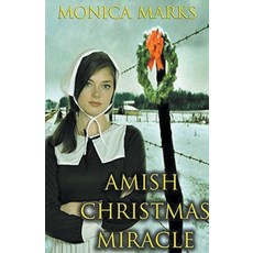(英文圖書) Amish Christmas Miracle 平裝版, Trellis Publishing, 英文