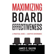 Maximizing Board Effectiveness: A Practical Guide for Effective Governance 平裝版, Tenth Power Publishing, 英文