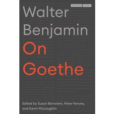 (英文圖書) On Goethe 平裝版, Stanford University Press, 英文
