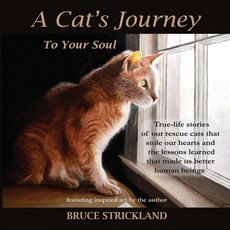 (英文圖書) A Cat's Journey To Your Soul 平裝版, Kittyspeak Publishing, 英文