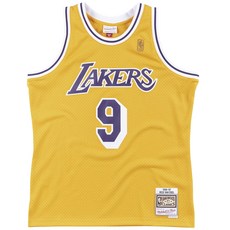 米切爾和尼斯洛杉磯湖人隊球迷版球衣尼克範Excel 籃球球衣