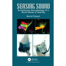 (英文圖書) Sensing Sound: Evolutionary Neurobiology of a Novel Sense of Hearing 平裝版, CRC Press, 英文