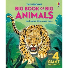 (英文圖書)Big Book of Big Animals 精裝版, Usborne Books, 英文