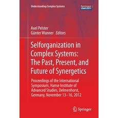 Selforganization in Complex Systems: The Past Present and Future of Synergetics: Proceedings of th... 平裝版, Springer, 英文